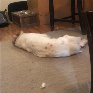 Meet your Posher, Dylan